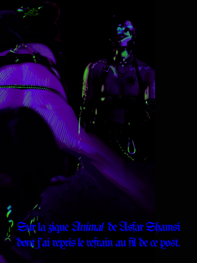KinKAnimal-comp_-10